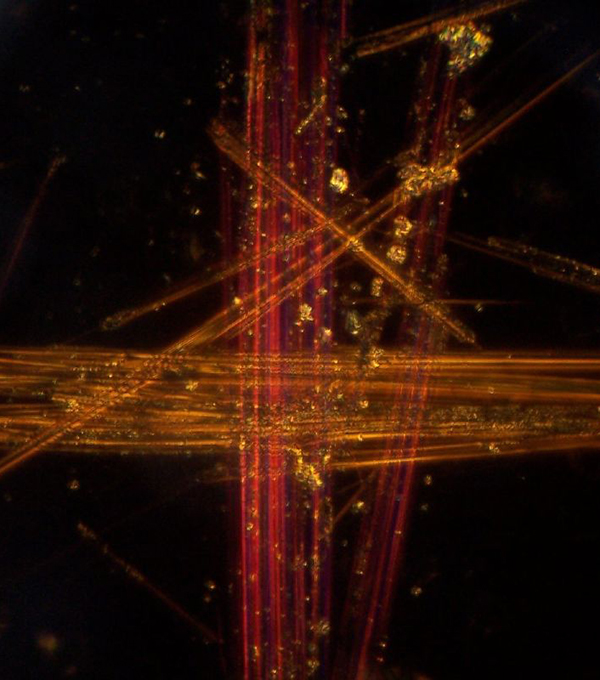 Bulk Asbestos Identification - Polarized Light Microscopy (PLM) EPA/600/R-93/116